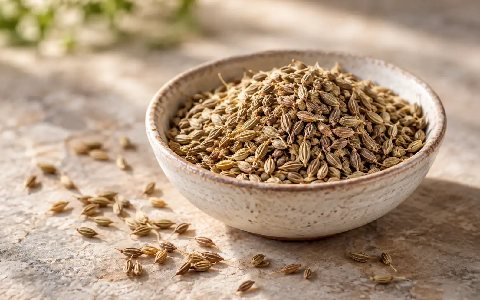 Anise Seeds