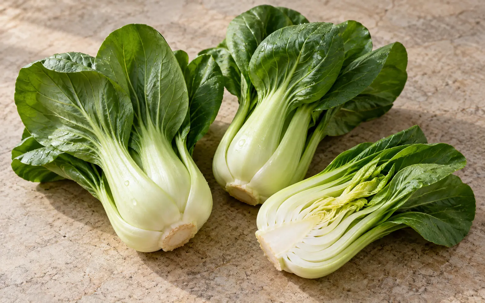 Bok Choy