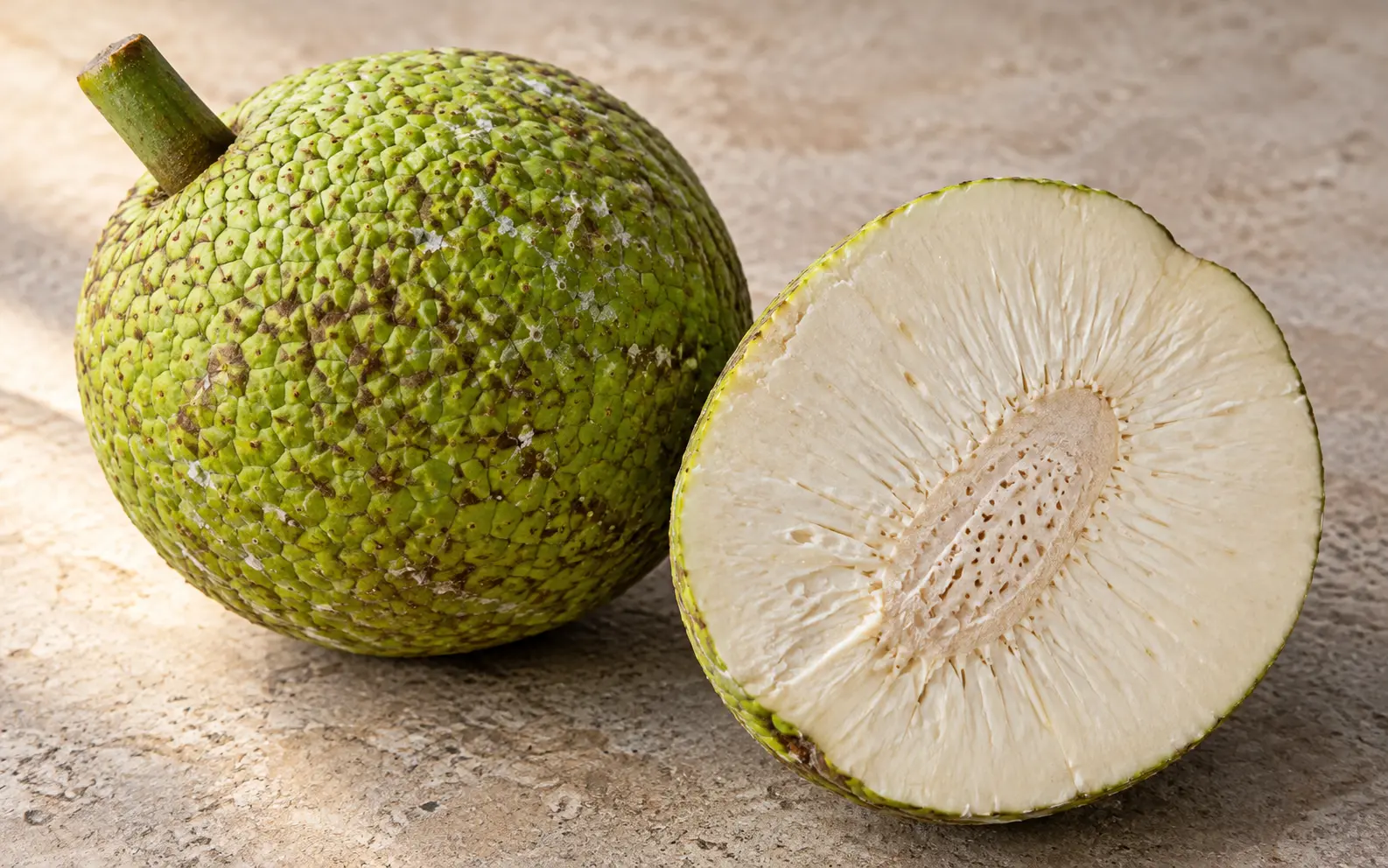 Breadfruit